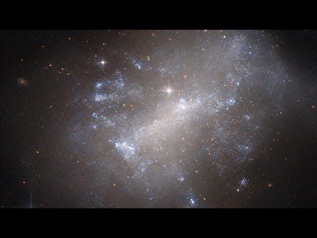 Pan: A dishevelled irregular galaxy