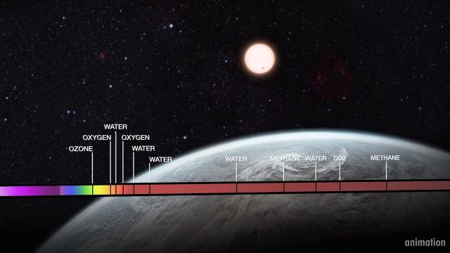 Hubble detected Earth's ozone during lunar eclipse