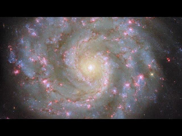 Pan video: NGC 3596