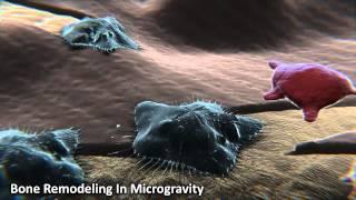 Bone Density Decreases in Space - What to Do? | Video