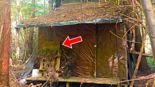 Forest Ranger Discovers Abandoned Cabin In The Woods, Inside He Finds This Mysterious Old Diary