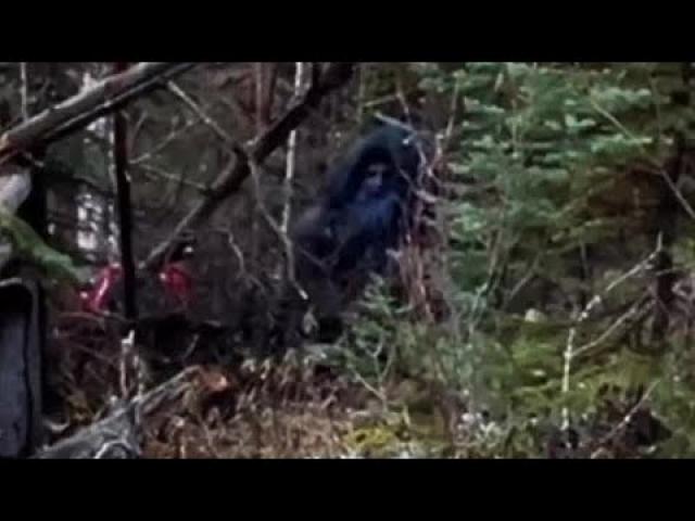 The Most Convincing Bigfoot Sightings Captured on Video