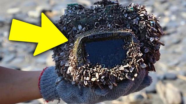 Woman Finds A Lost Camera On The Beach, Its Content Makes Her Track Down Its Owner
