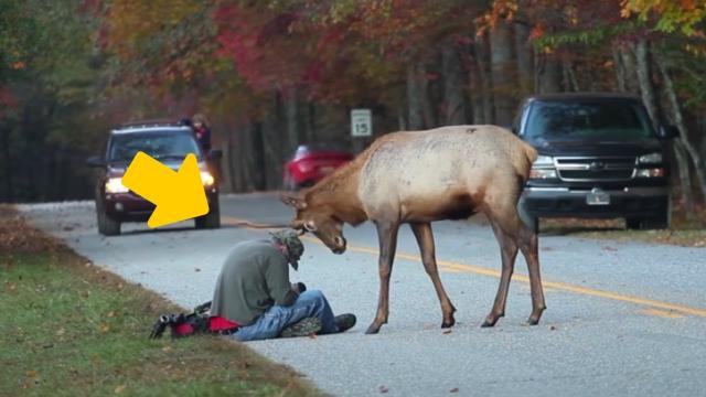 A reindeer asks a homeless man for help when he learns why he's moved