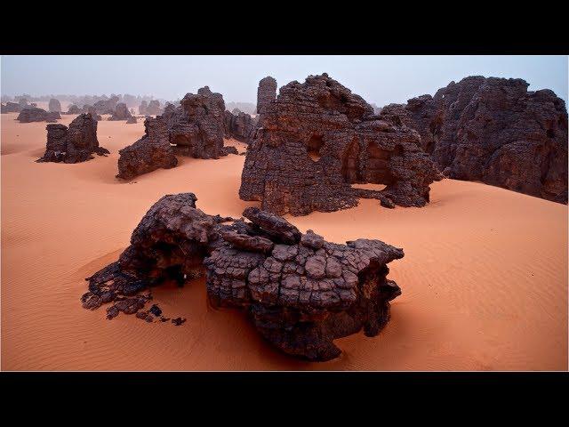 Ancient Humans Created the Sahara Desert, Says Archaeologist