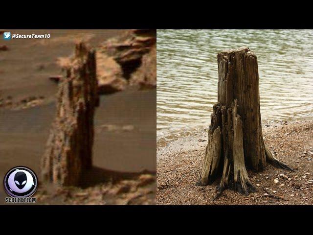 ANCIENT Tree Stump Found On Mars? 4/22/17