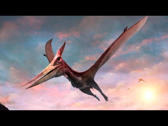Pterodactyl Flies Across the Sky over Boise, Ohio