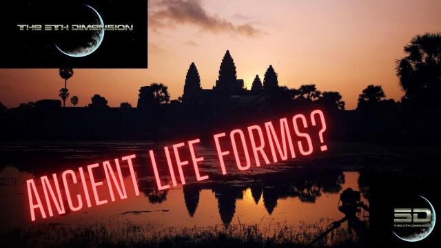 Unthinkable discovery found in Angkor Wat Cambodia (Did ancient people really see these creatures?)