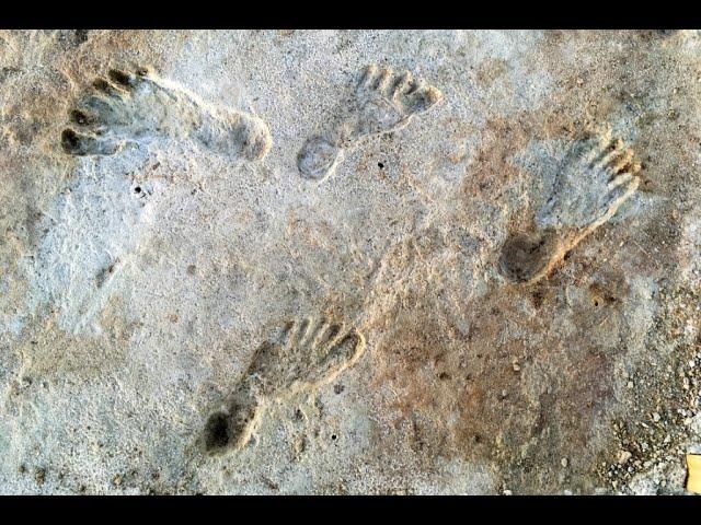 The Discovery of the Oldest Human Footprints in North America Thrilled Researchers