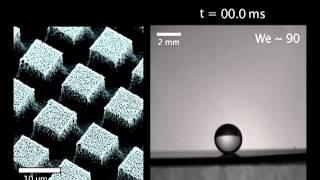 Water-repellent surfaces that last