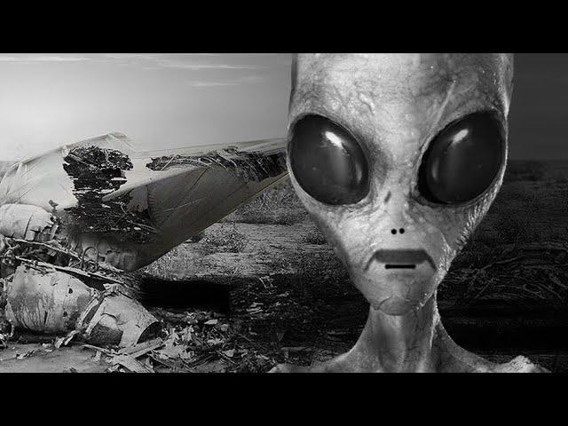 Roswell UFO crash witness describes 4 alien beings, 2 dead,1 injured,1 alive trying help the others