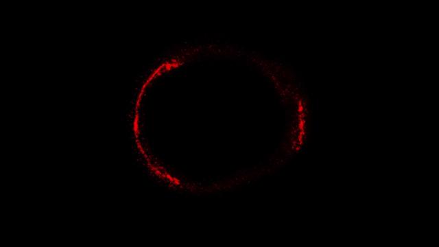 Stunning Einstein Ring! Gravitationally-Lensed Galaxy Snapped