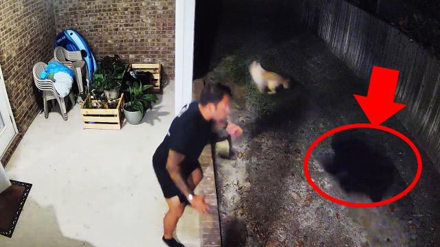 Quick thinking dad saves dog's life after bear starts chasing it