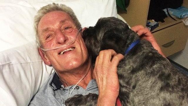 Dog’s Incredible Response To His Owner’s Cancer Diagnosis Has People Calling Him A Hero