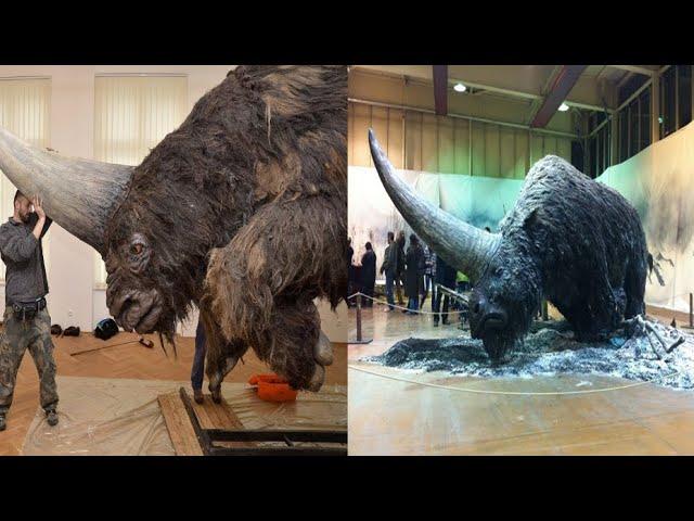 What became of the Siberian unicorns that once walked the Earth?