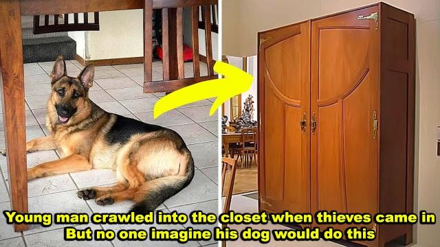 Teen Crawled into the Closet When Thieves Broke into His House, But His Dog Did Something Unexpected