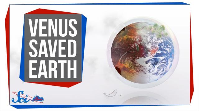 How Studying Venus Saved Earth