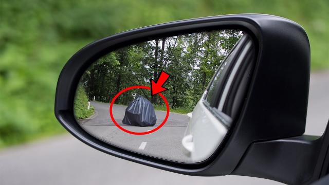 Woman Spots Trash Bag Moving On Side Of Road – When She Looks Inside, She Screams For Help