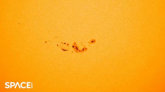 Watch sunspot AR3664 grow into a giant in 3-day time-lapse