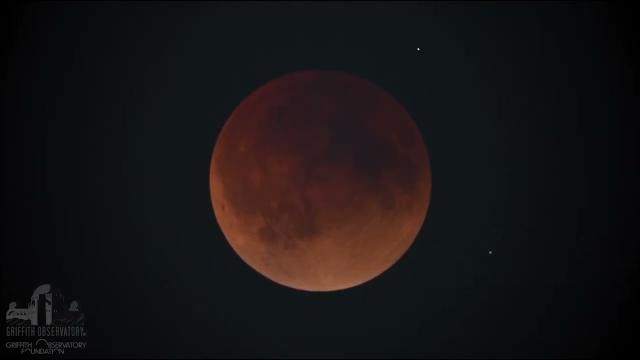 See entire Super Flower Blood Moon eclipse in amazing time-lapse