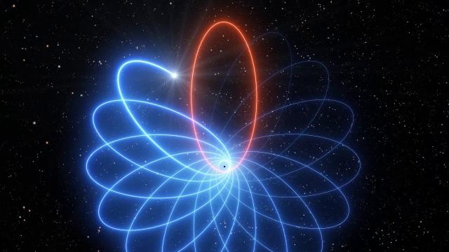 Star near Milky Way's black hole has 'rosette-shaped' orbit