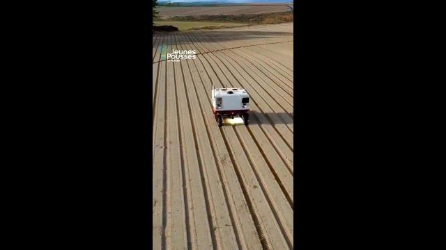 Ce robot peut désherber nos cultures sans utiliser de pesticides !