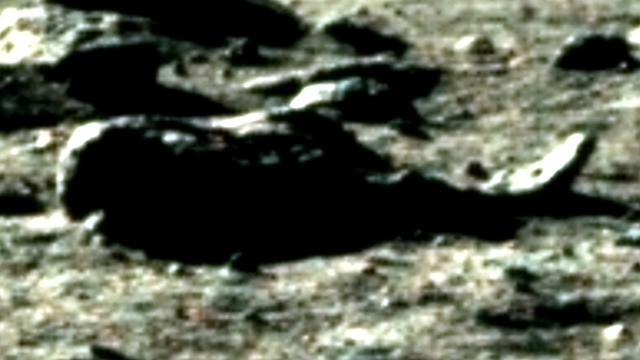 UFO ALIEN: WAS AN ALIEN REALLY FOUND LYING ON THE MOON?