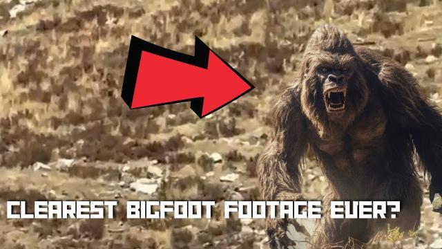 Clearest Footage Of BIGFOOT EVER? 2023