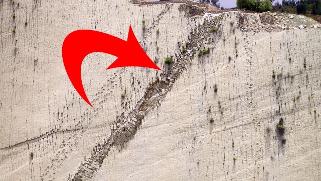 Paleontologists Just Found These Strange Vertical Footprints, And This Is What They Think Made Them