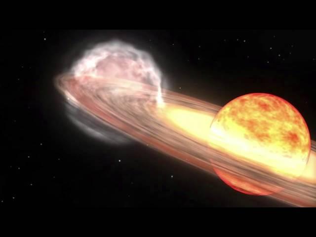 White Dwarf + Red Giant = Thermonuclear Explosion | Animation