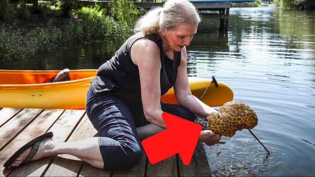 Wife Fishes Strange Thing out of Water – When Her Husband Sees it, He Screams Loudly