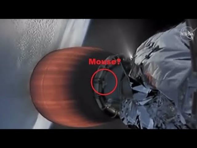 SpaceX rocket launch video shows Mouse outside?