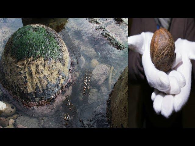 Mysterious Ancient Stone Unearthed In Scotland Explained