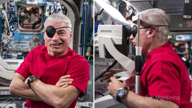 Record-breaking astronaut Mark Vande Hei's science highlights