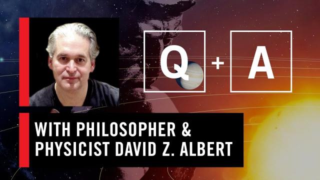 WSF CONNECT Q&A with David Albert