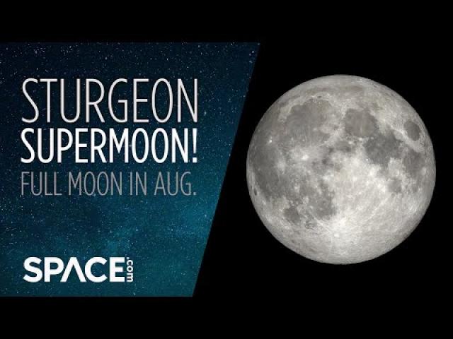Full moon in Aug. 2022 is the Sturgeon Supermoon!