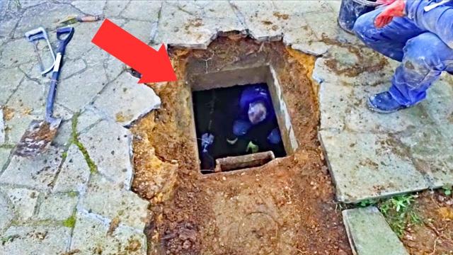 Man Kept Hearing Strange Noises Under Driveway, Look What He Found Inside