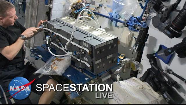 Space Station Live: TReKking Station Science
