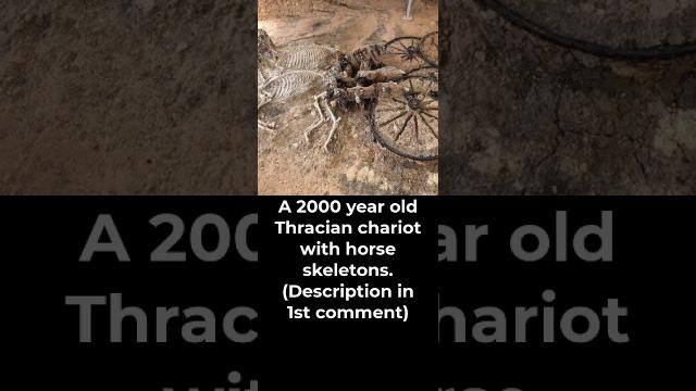 A 2000 year old Thracian chariot with horse skeletons