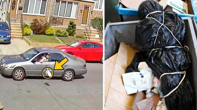 Mom Catches Driver Throwing Bag Out Of Car Window, Officers Find DNA Inside