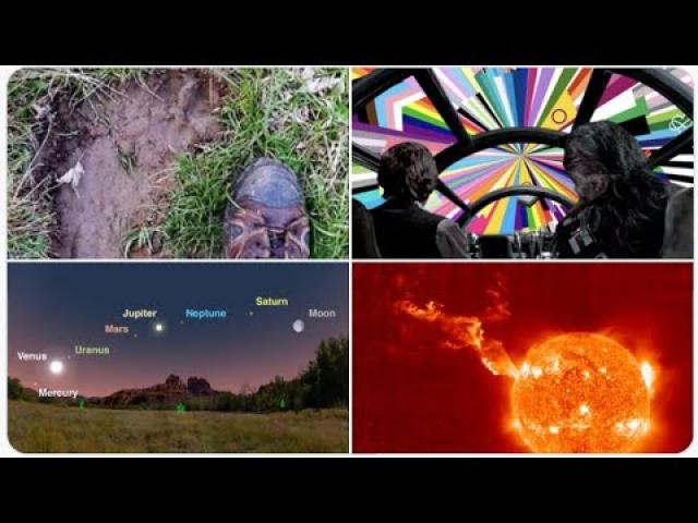 German BIGFOOT? Nine Sunspots! Epic Planet Parade! 111 Degrees in France! Heatwave! Hurricane Blas!