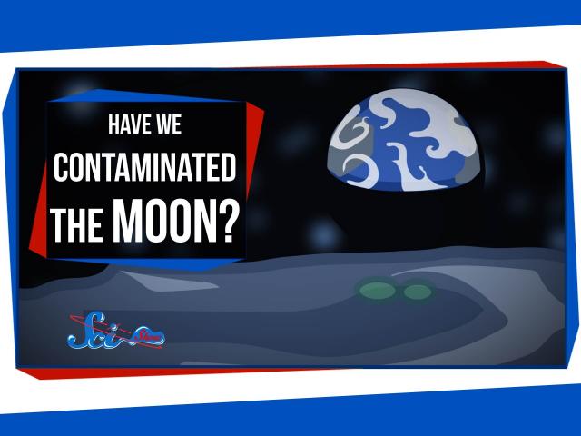 Have We Contaminated the Moon?