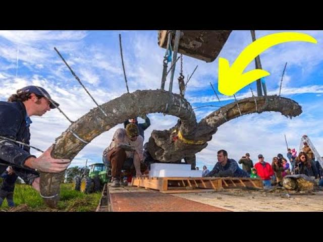 Farmer Digs Up Woolly Mammoth Bones In His Soy Field