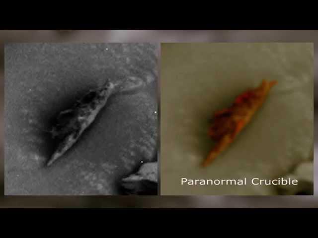 Alien Lifeform Found On Mars?