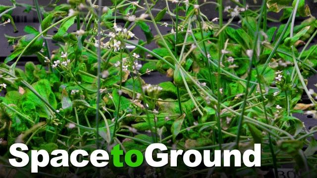 Space to Ground: Locally Grown: 07/27/2018