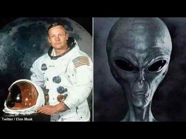 Elon Musk Shares Odd Alien Meme