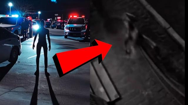 What Just Happened In Miami? We Talked To The Police! New UFO Footage! 2024