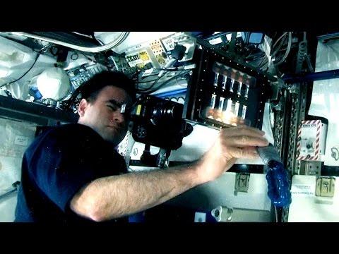 Space Station Live: Open Access To Space Station Science Data