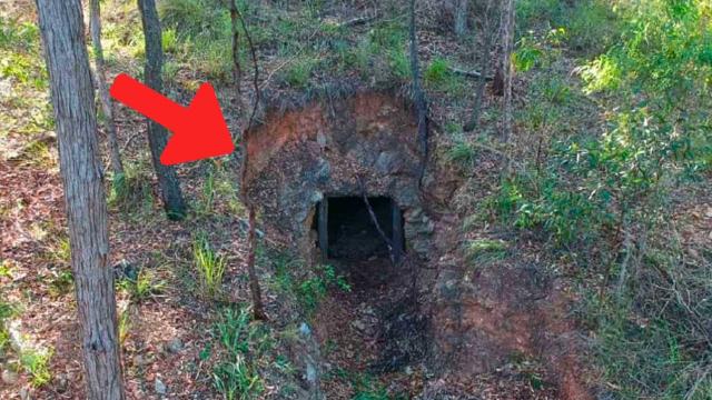 Man's Life Transformed Forever After Discovering an Abandoned Cave in His Property