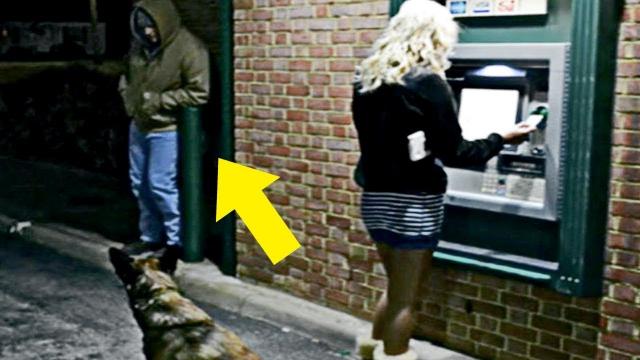 Man Blocks Woman At ATM, Doesn t Know Dog Is A Cop